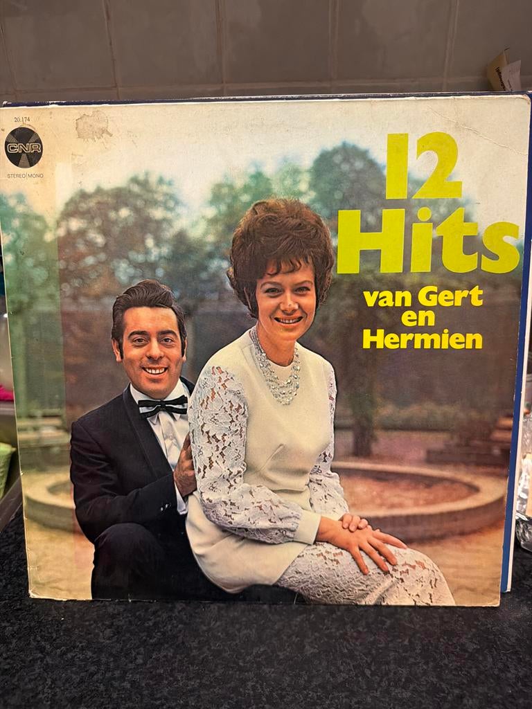 T5.  12 Hits van Gert en Hermien - Vinyl LP, Ophalen of Verzenden, Gebruikt, 12 inch, Levenslied of Smartlap