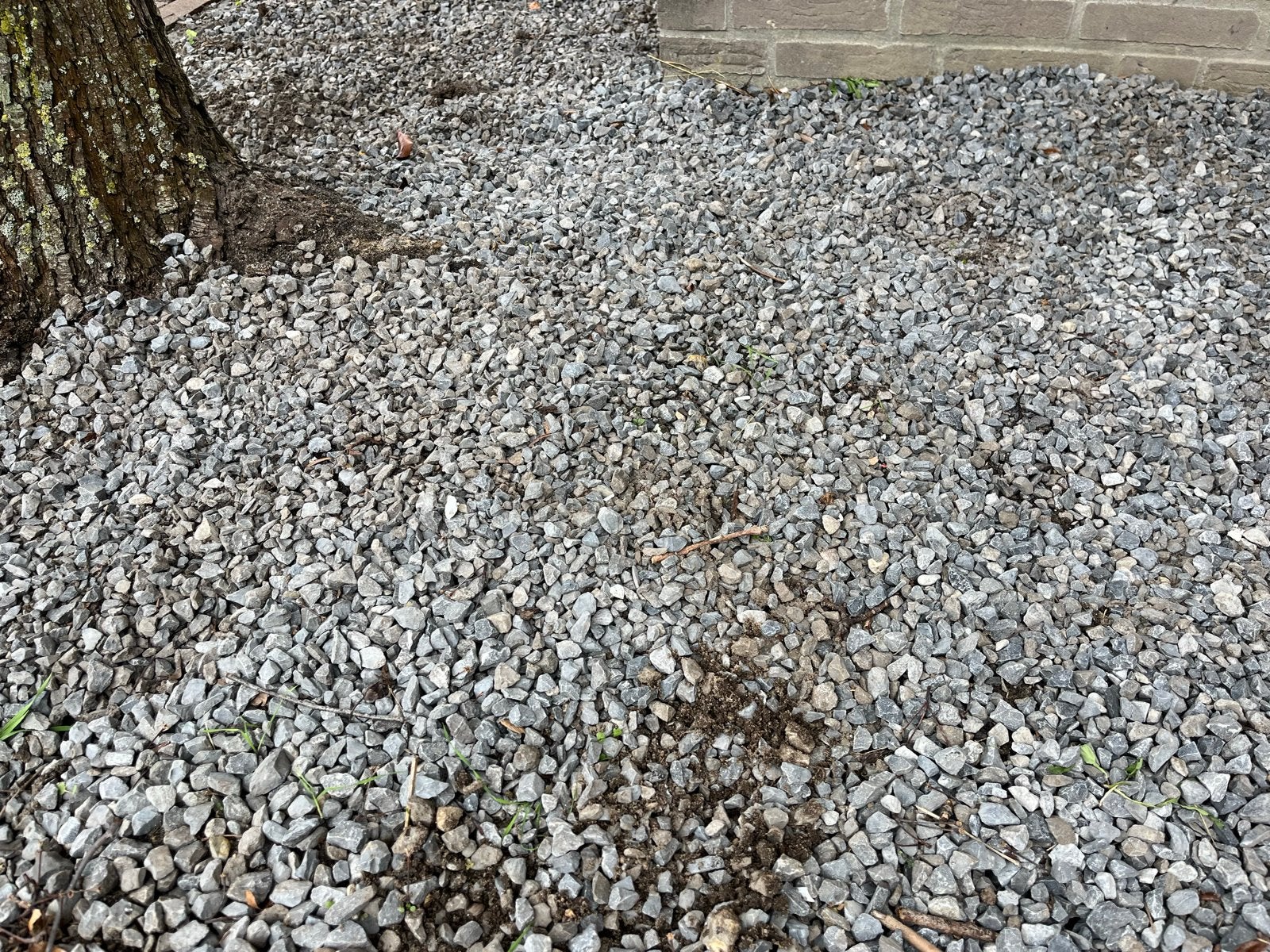 8 m2 grijs grind, 10 cm dik, Tuin en Terras, Ophalen, Gebruikt, Grijs, Grind