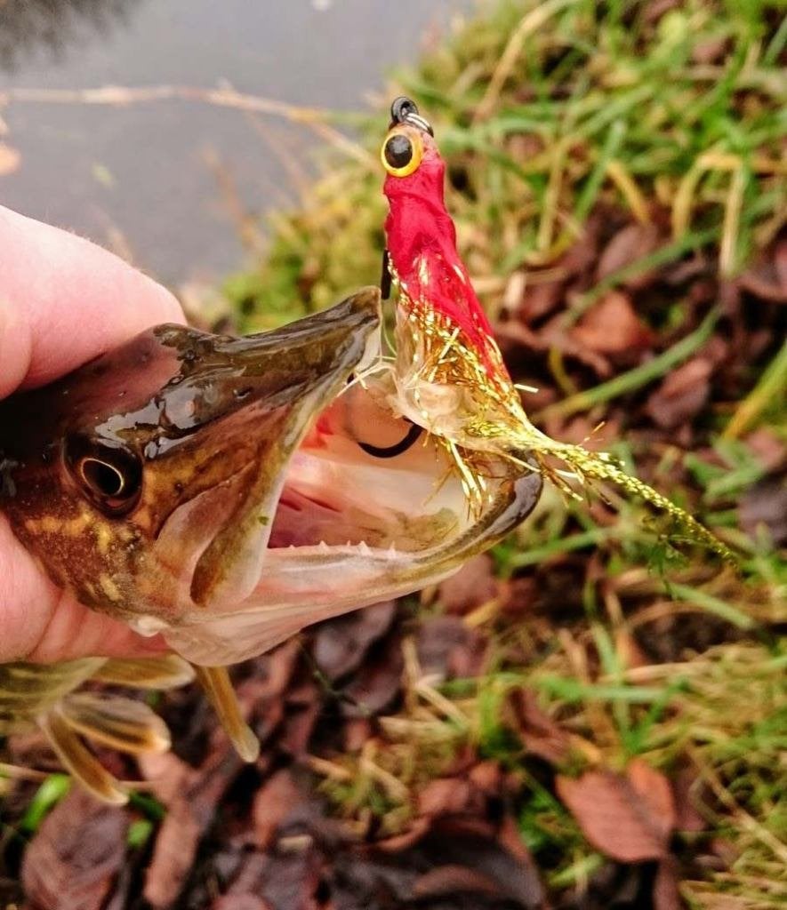 Serie E Ultra Light Baars / Snoek streamertjes, Ophalen, Nieuw, Complete set