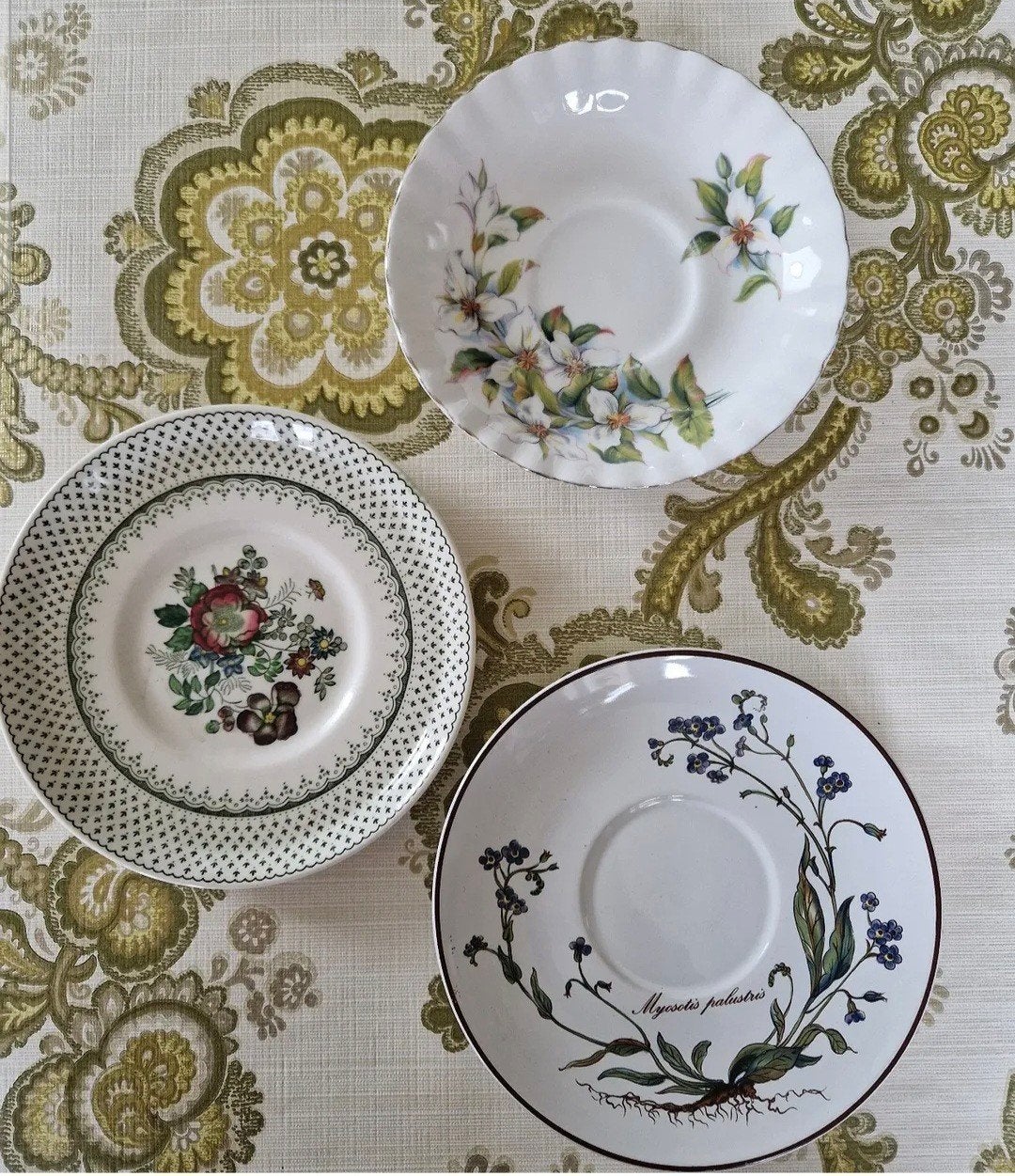 Vintage Schoteltjes: Royal Albert, Mason's, Villero, Ophalen of Verzenden
