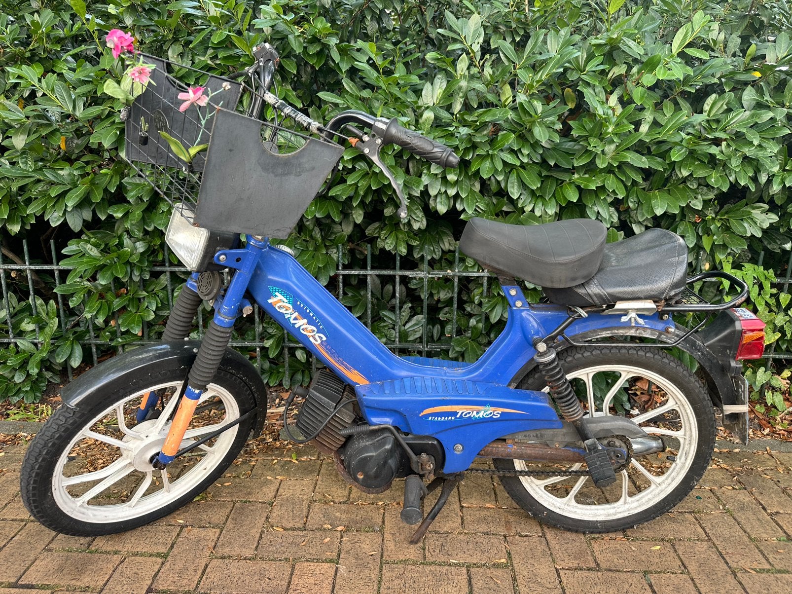 GEZOCHT: TOMOS BROMMER OF SNOR – Met Spoed–Direct ophalen!, Fietsen en Brommers, Brommers | Tomos, Ophalen, Zo goed als nieuw