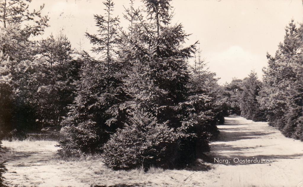 08809 Norg - Oosterduinen - gel. 1958, Verzenden, 1940 tot 1960, Gelopen, Drenthe