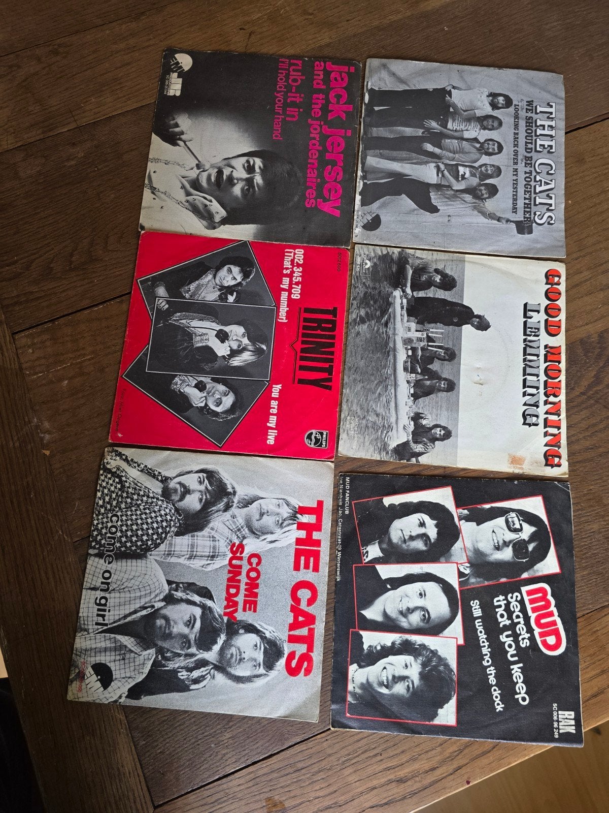 Oude singeltjes de cats mud trinity jack jersey lemming, Ophalen of Verzenden, Gebruikt