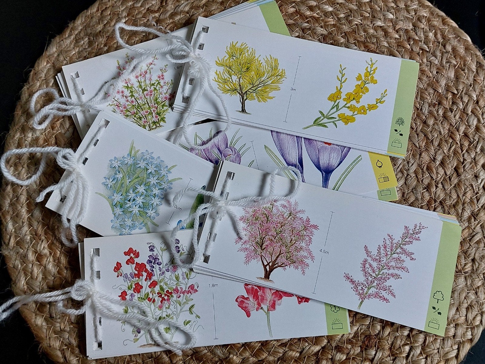 botanische kaartjes, Ophalen of Verzenden, Zo goed als nieuw, Papier of Karton