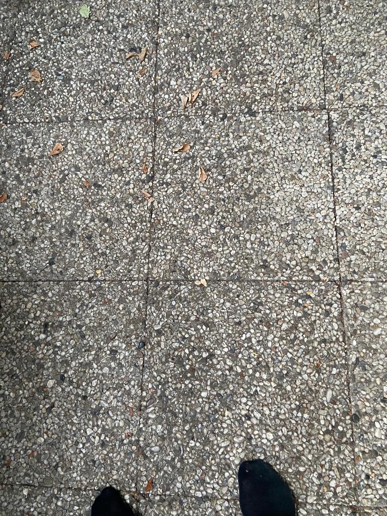 46 Grindtegels 50x50 gratis, Tuin en Terras, Tegels en Klinkers, Ophalen, Gebruikt, 10 m² of meer, Beton
