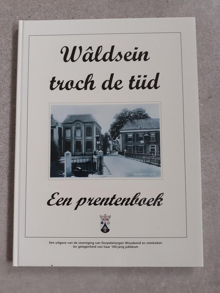 Woudsend oude foto's en ansichten, Ophalen of Verzenden, 1980 tot heden, Gelopen, Friesland