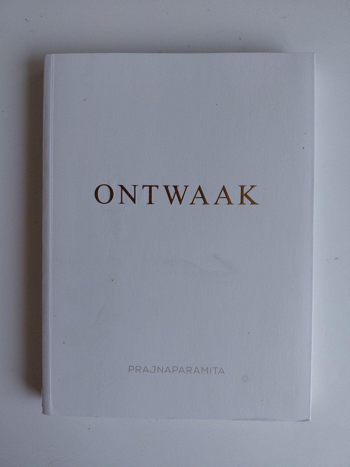 Prajnaparamita - Ontwaak, Boeken, Achtergrond en Informatie, Spiritualiteit algemeen, Ophalen of Verzenden, Prajnaparamita