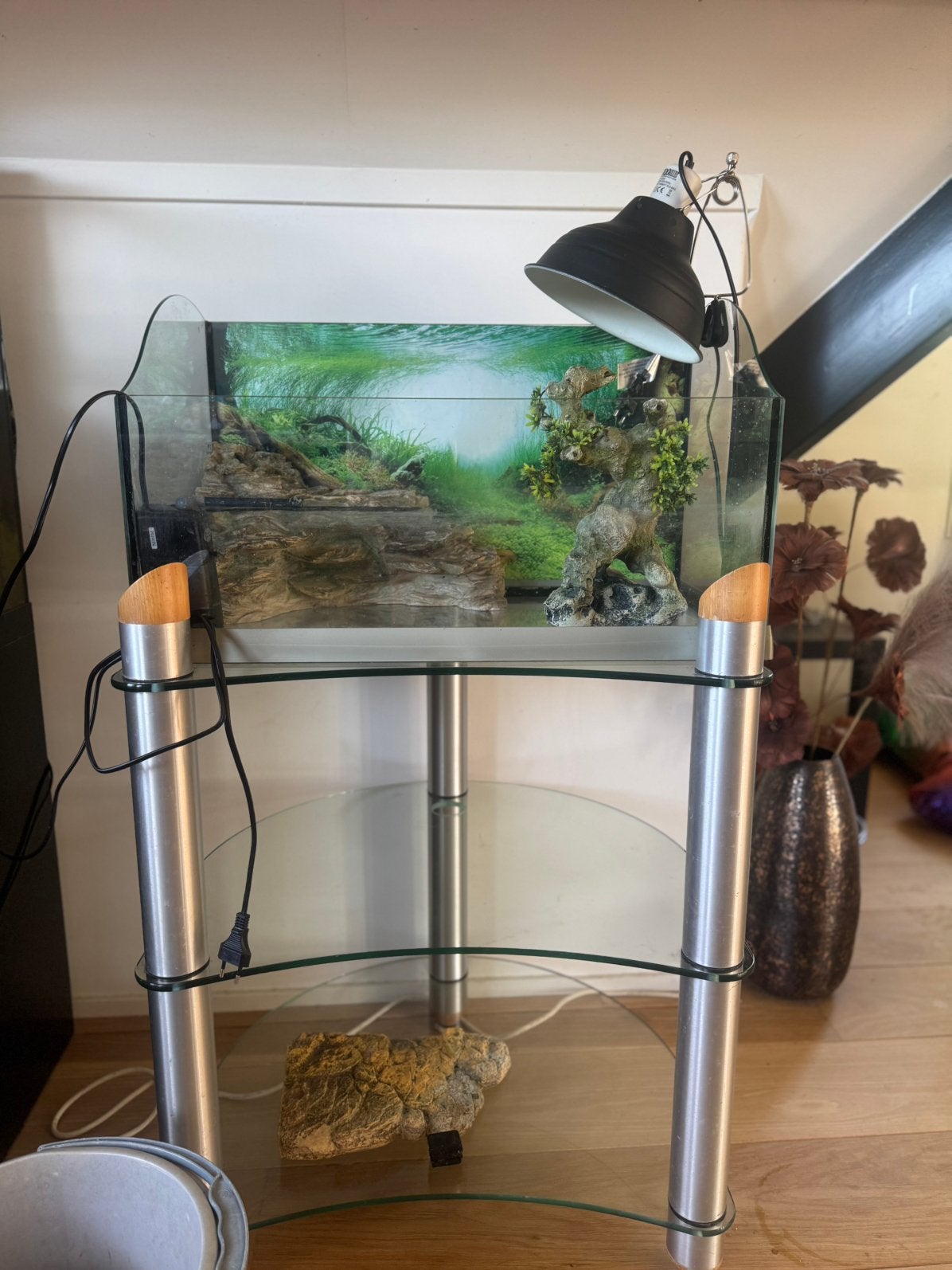 Compleet schildpadterrarium, direct klaar voor gebruik!, 3 tot 6 jaar