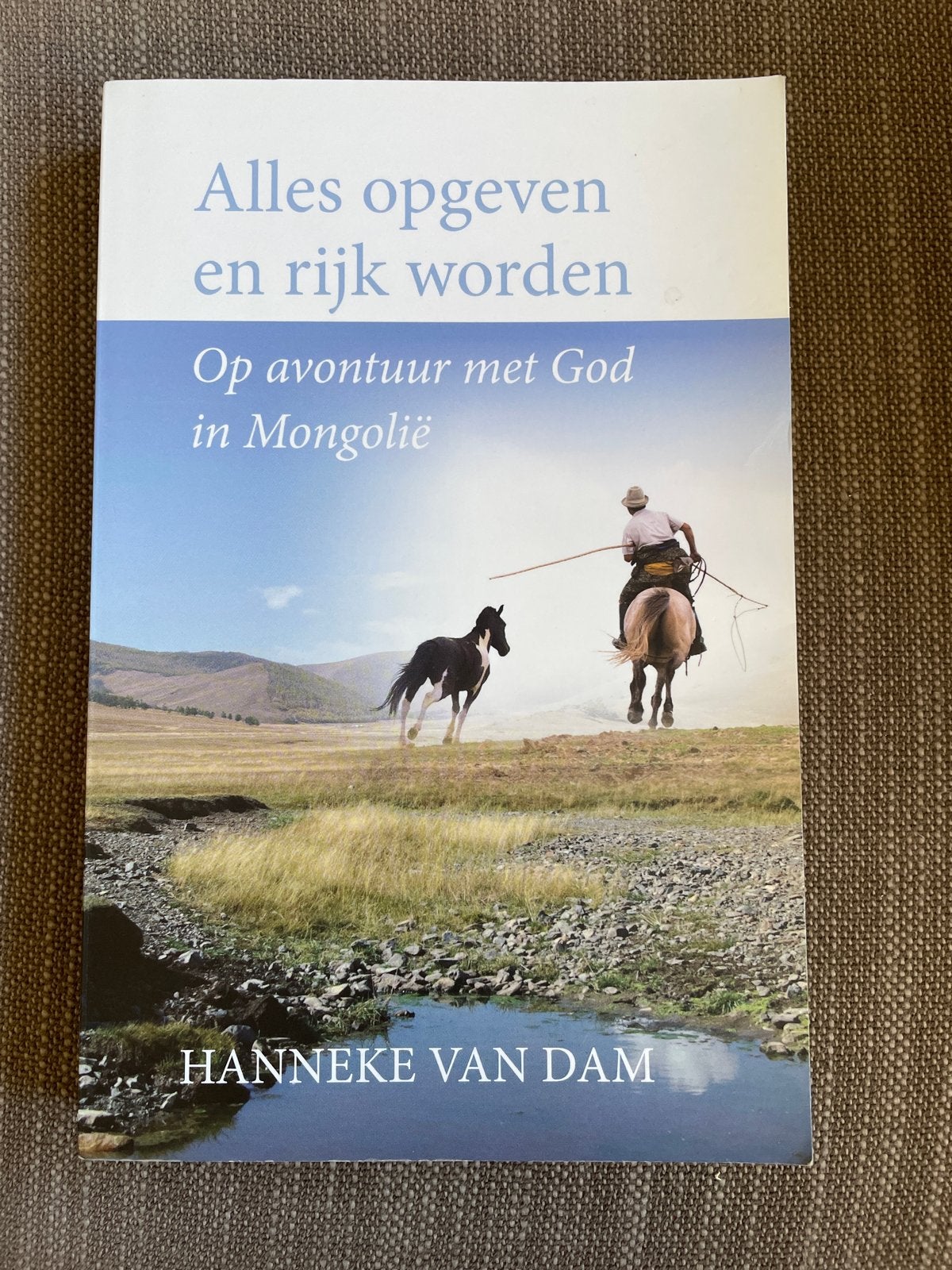 Hanneke van Dam - Alles opgeven en rijk worden, Ophalen of Verzenden, Zo goed als nieuw, Hanneke van Dam