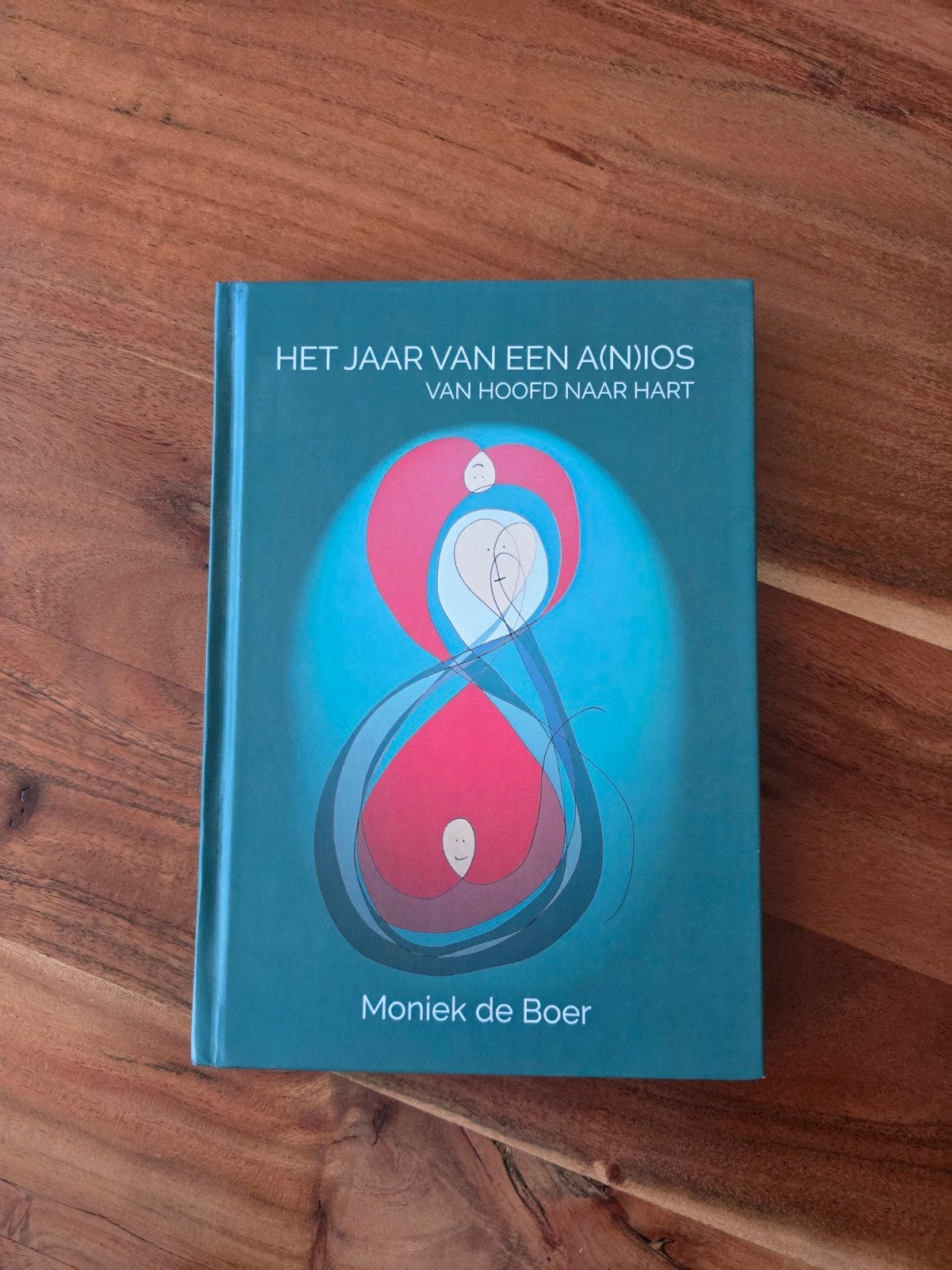 Het Jaar van een A(N)IOS - Moniek de Boer (Nieuw), Boeken, Literatuur, Ophalen of Verzenden