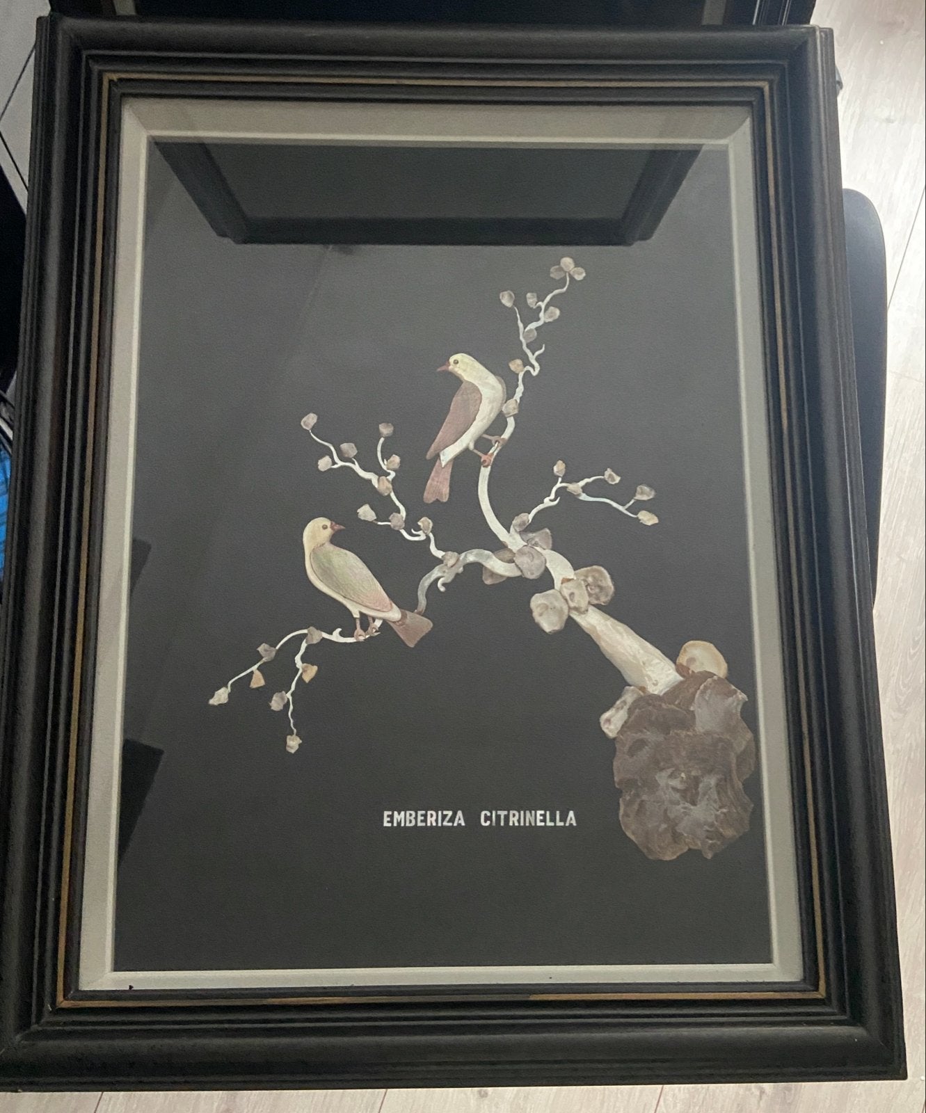 Aziatische Schelpkunst: Emberiza Citrinella Vogels, Ophalen, Natuurlijk materiaal, 50 - 100 cm, Handgemaakt