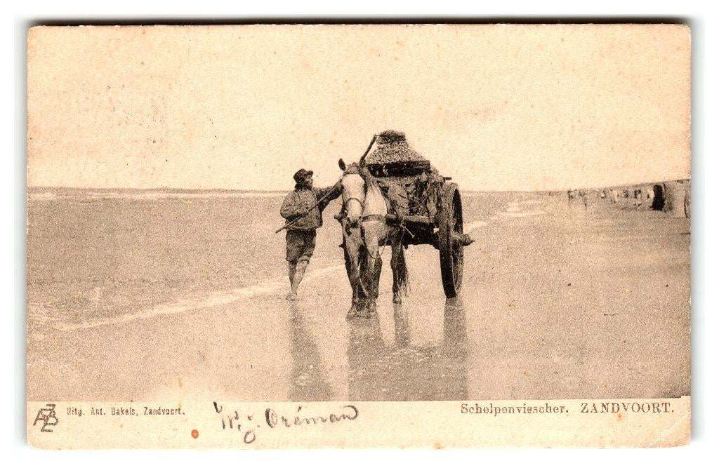 Zandvoort, Schelpenvisscher, Verzenden, Voor 1920, Gelopen, Noord-Holland