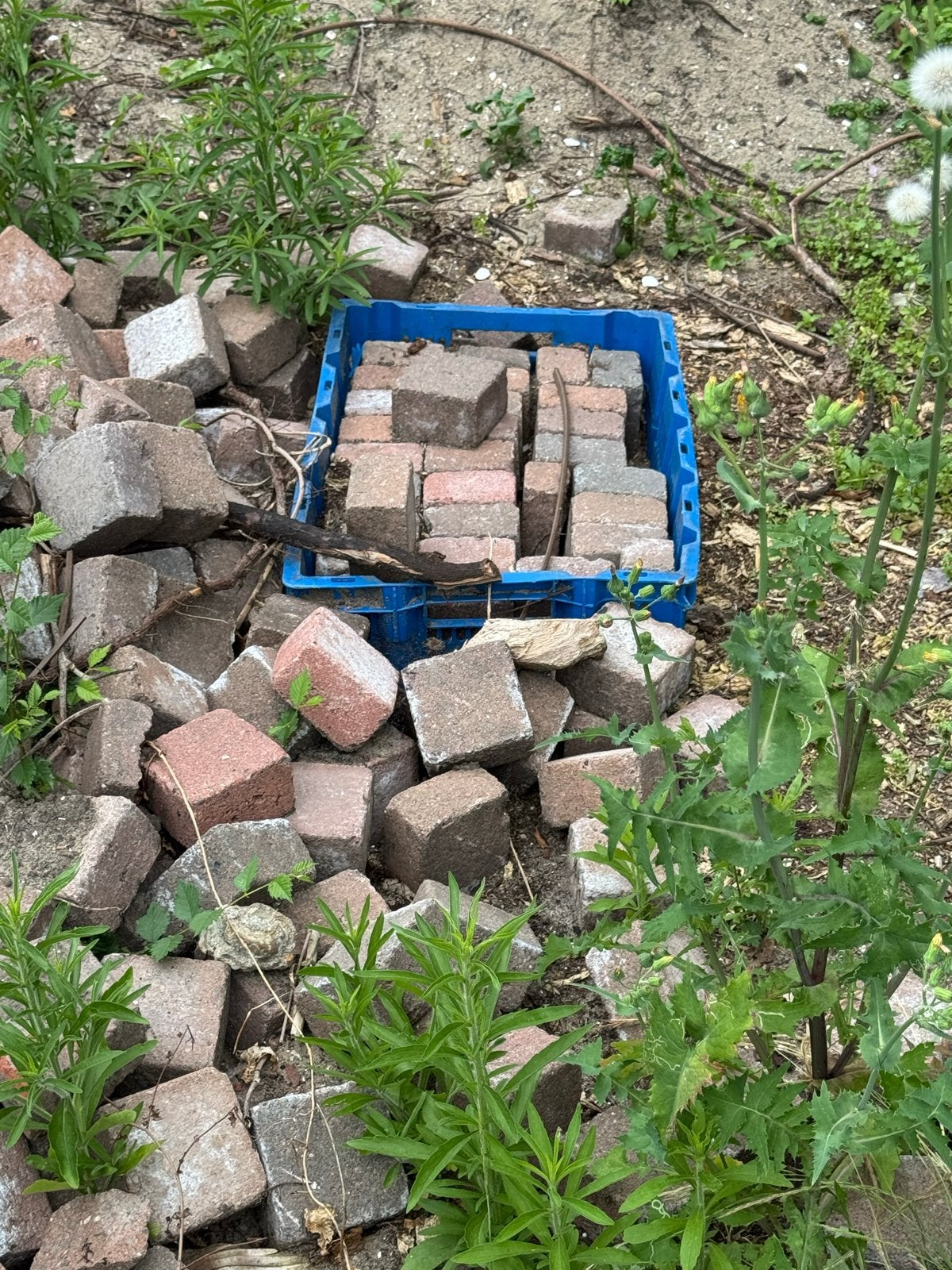 Beton klinkers 10x10 cm - Ideaal voor tuin en terras, Tuin en Terras, Tegels en Klinkers, Ophalen, Gebruikt, Klinkers, 10 m² of meer