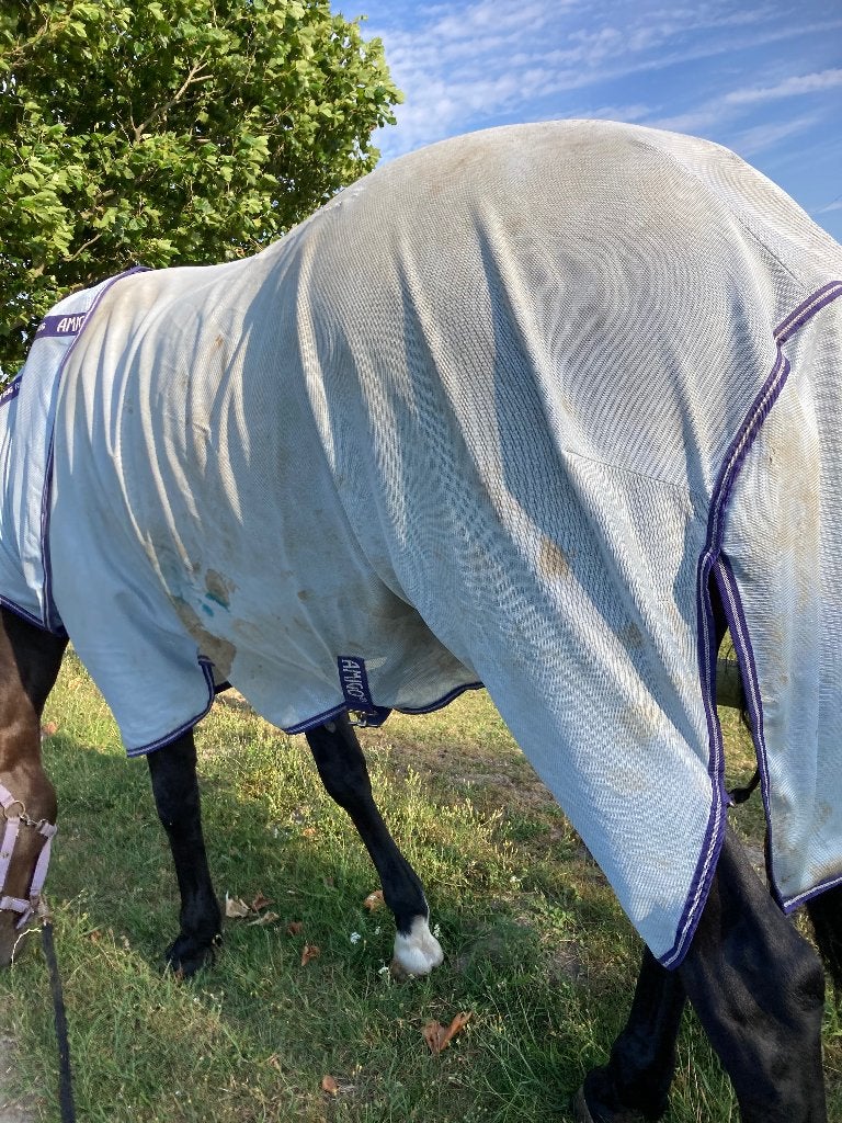 Amigo bug rug vliegendeken maat 205, Dieren en Toebehoren, Paarden en Pony's | Dekens en Dekjes, Full (L), Vliegendeken, Afneembare hals
