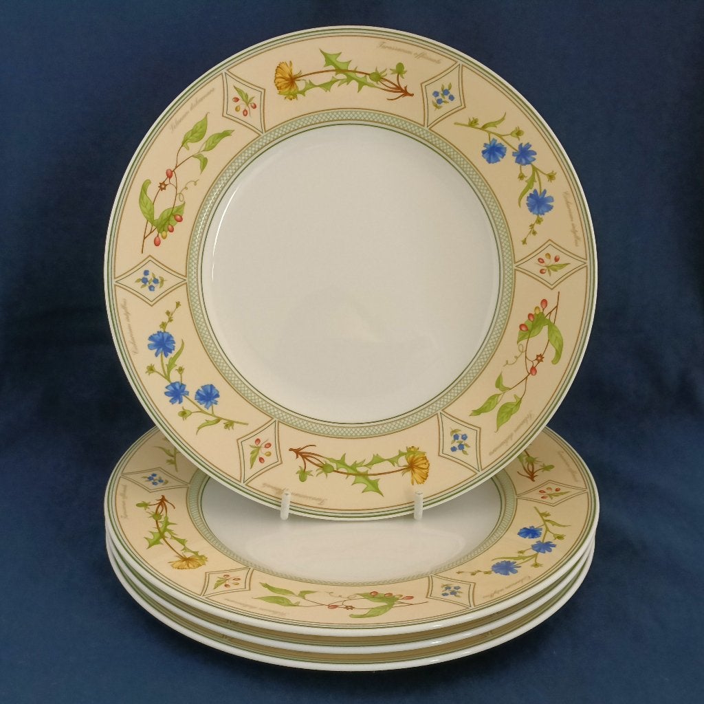 Villeroy & Boch Eden - 4 ontbijtborden, Villeroy & Boch, Ophalen of Verzenden, Zo goed als nieuw, Bord(en)