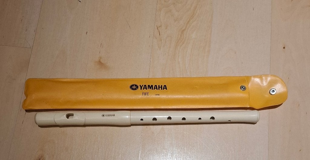 Fluit, Muziek en Instrumenten, Ophalen, Gebruikt, Overige typen