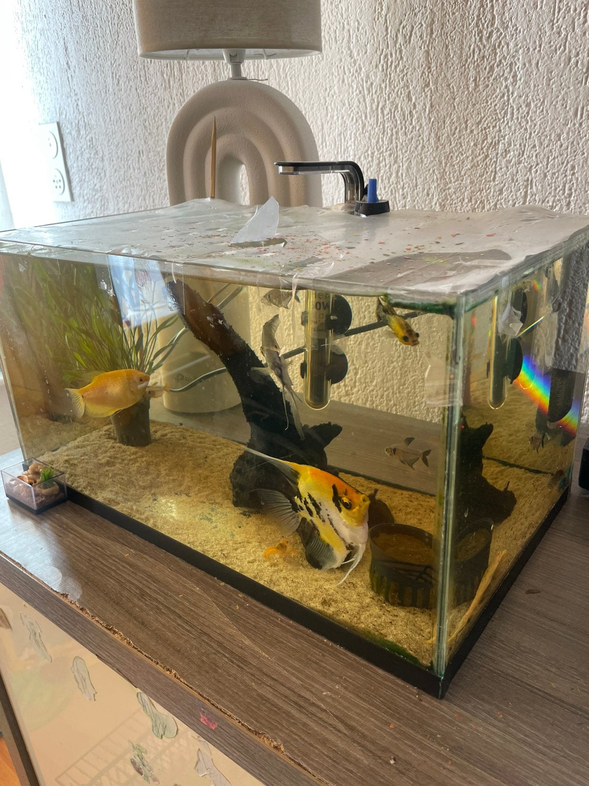 Aqarium met vissen en kreeft, Dieren en Toebehoren, Ophalen, Zo goed als nieuw