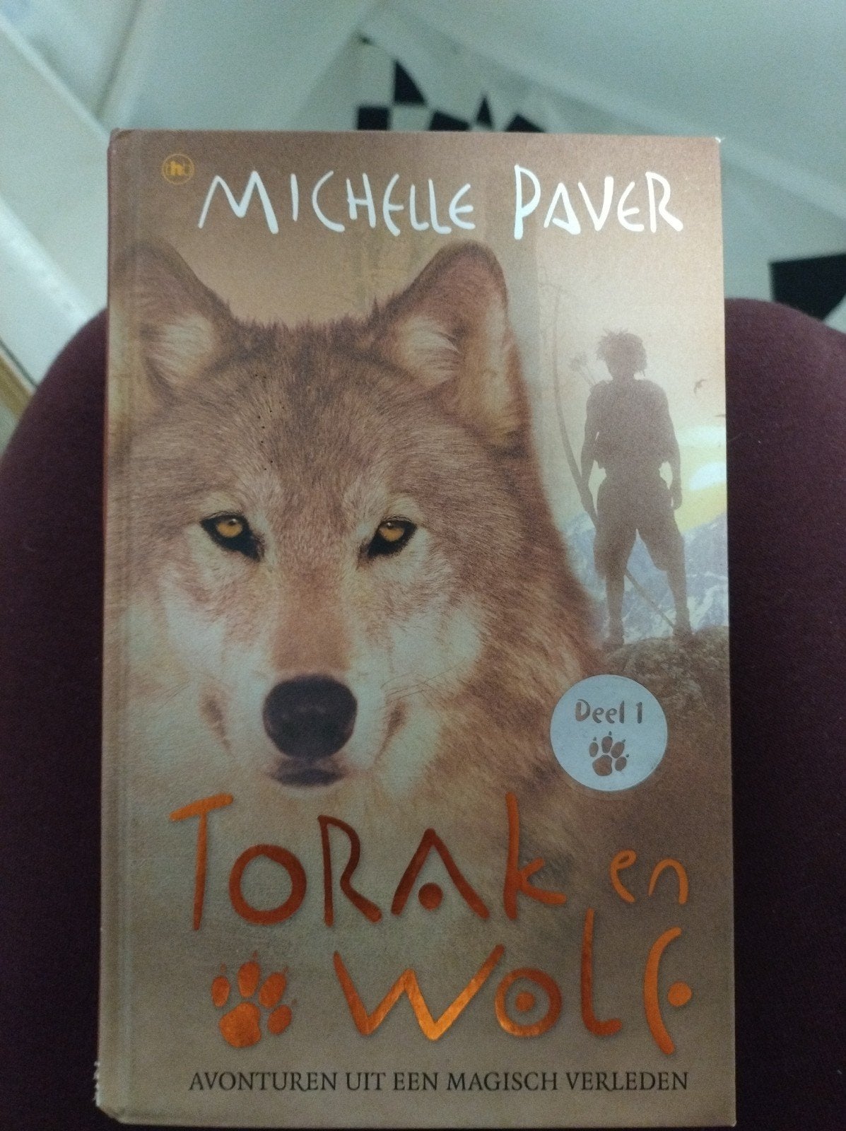 Boek torak en de wolf, Ophalen of Verzenden, Zo goed als nieuw