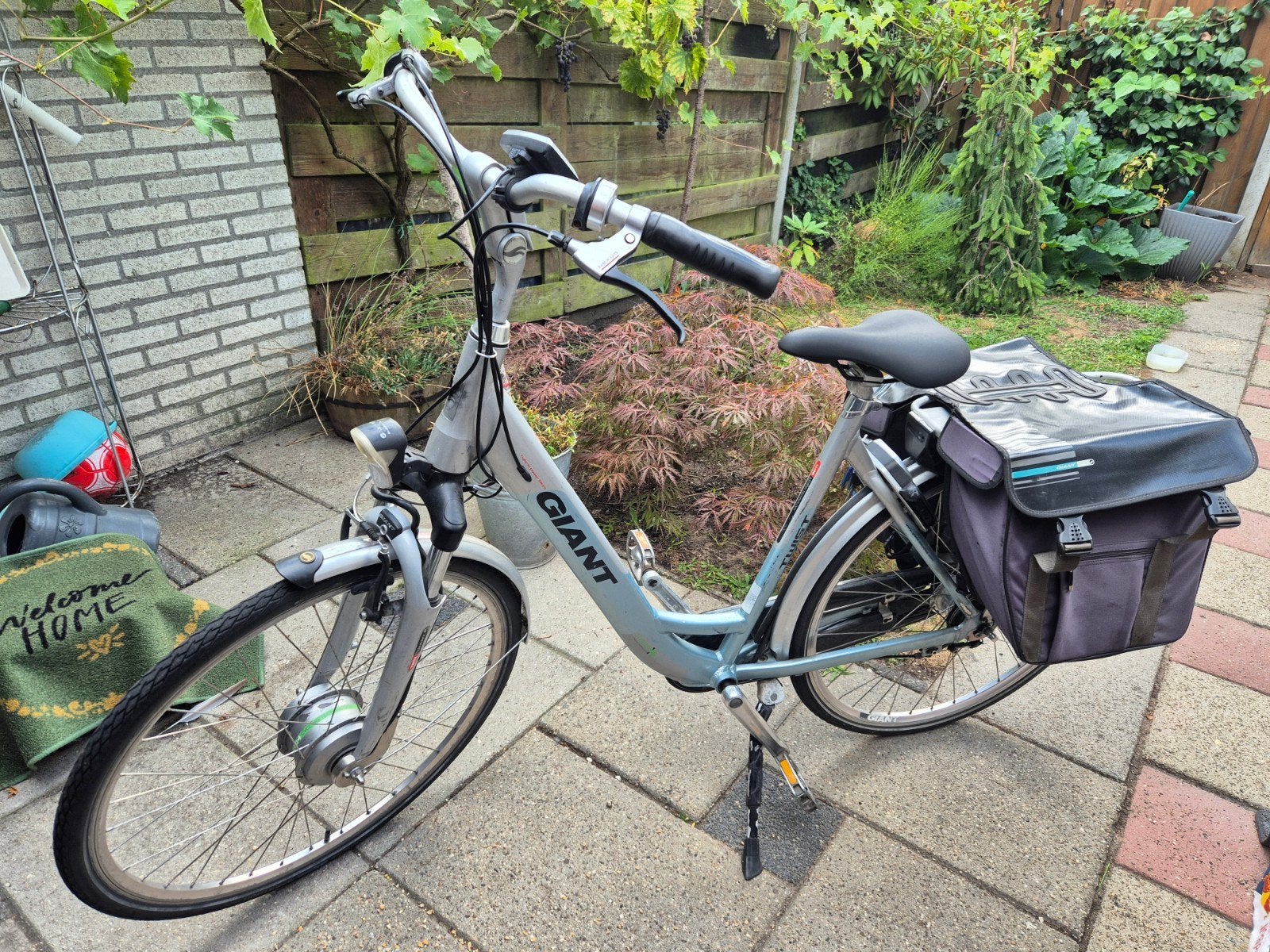 Giant Twist Go Double Dames E-bike - Compleet met 2 Accu's, Ophalen, Gebruikt, Giant, 47 tot 51 cm