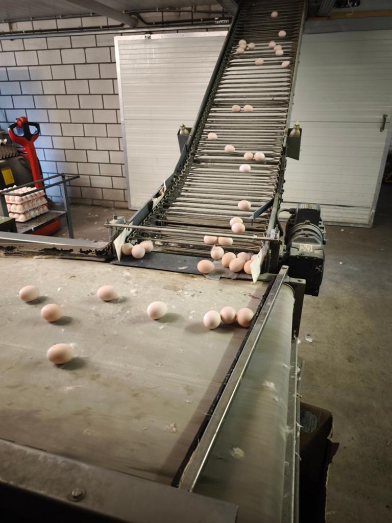 Farmtec spijlenband 53m - Goed werkend, beschikbaar 22 juni, Zakelijke goederen, Agrarisch | Werktuigen, Ophalen of Verzenden