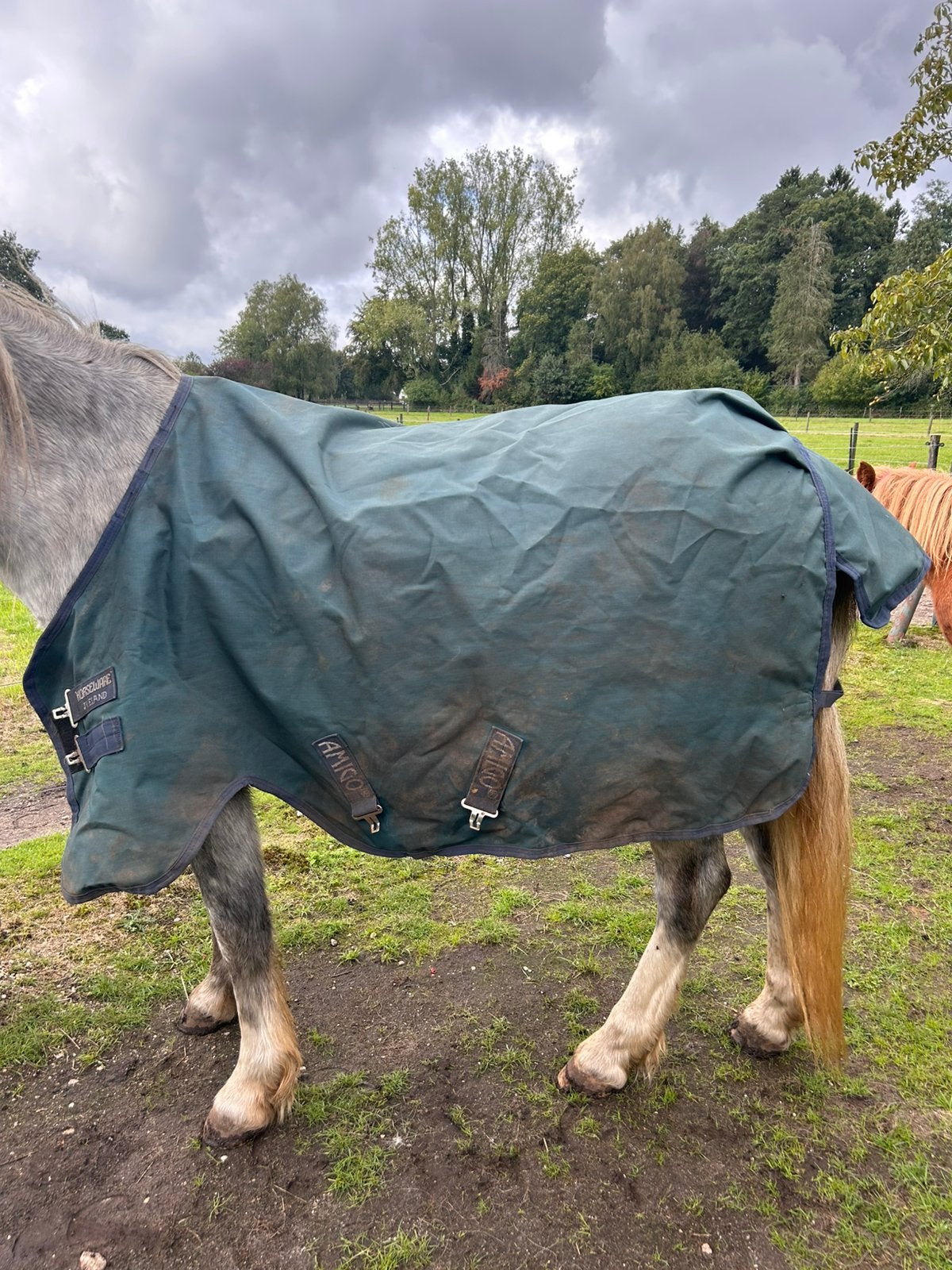Horseware pony deken, Ophalen of Verzenden, Zo goed als nieuw