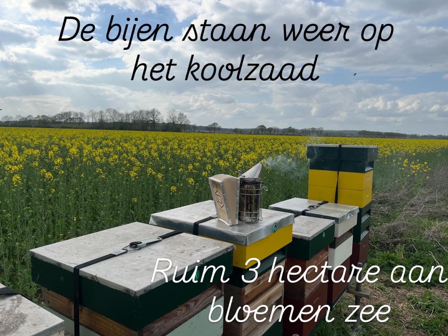 Koolzaadcreme honing, Ophalen of Verzenden