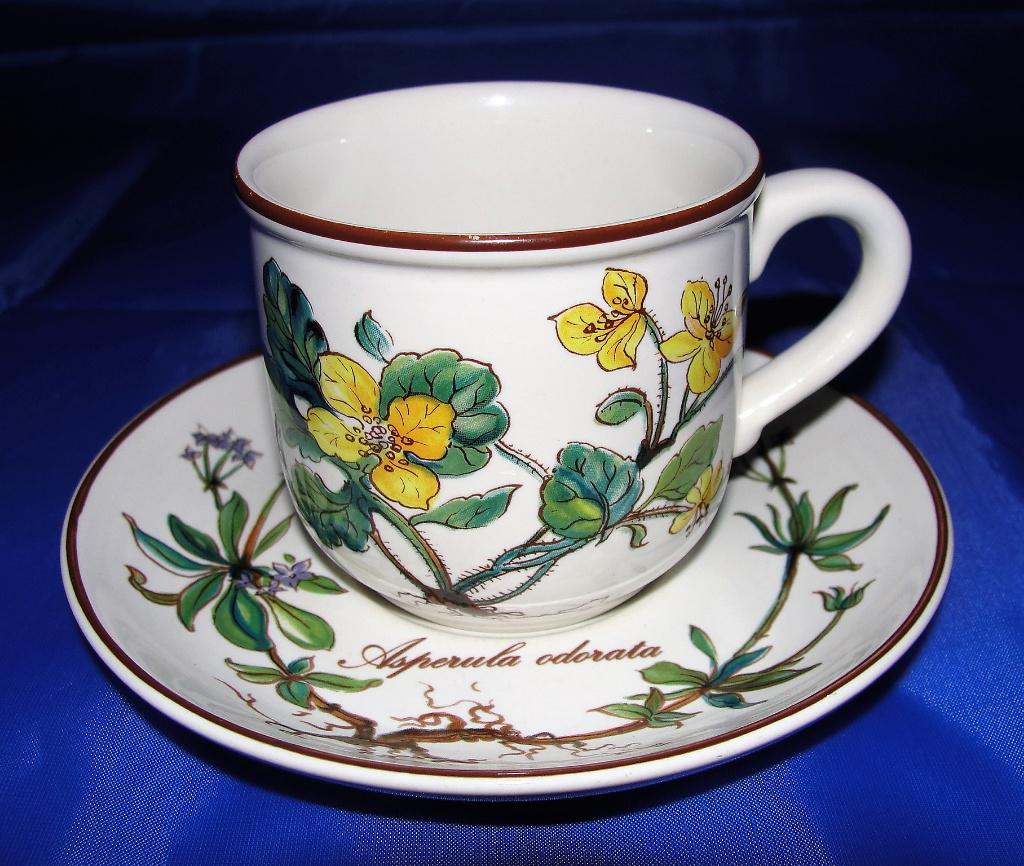 Villeroy&Boch Botanica espresso kop en schotel, Huis en Inrichting, Keuken | Servies, Ophalen of Verzenden, Zo goed als nieuw