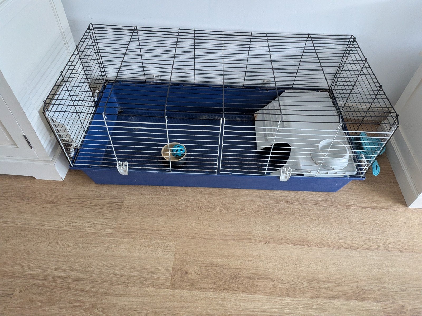 gratis knaagdieren kooi (cavia), Ophalen, 110 cm of meer, Minder dan 65 cm