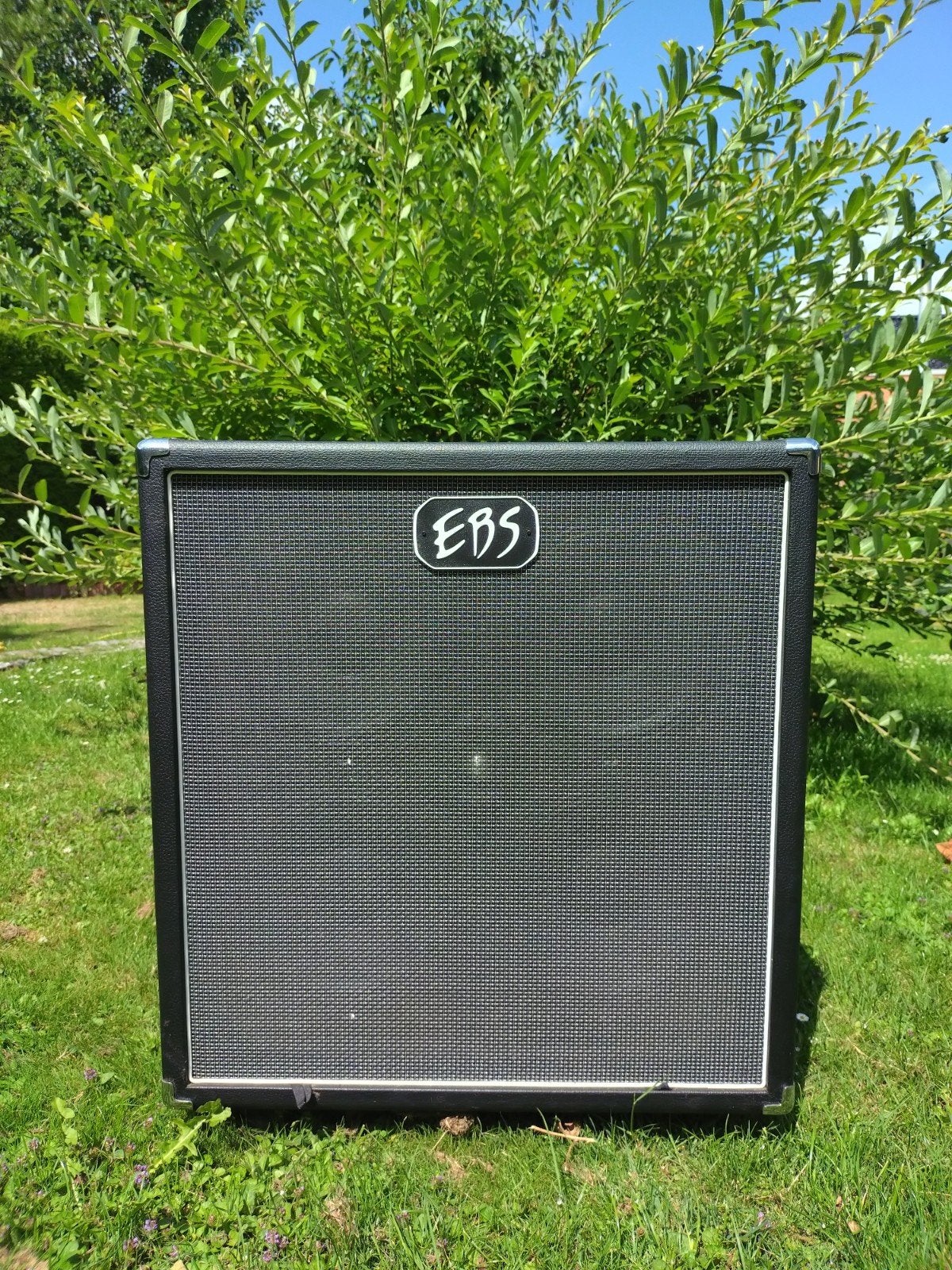 EBS ClassicLine 410 ZGAN incl. Hoes en wielen, Ophalen, Zo goed als nieuw, Basgitaar, 100 watt of meer