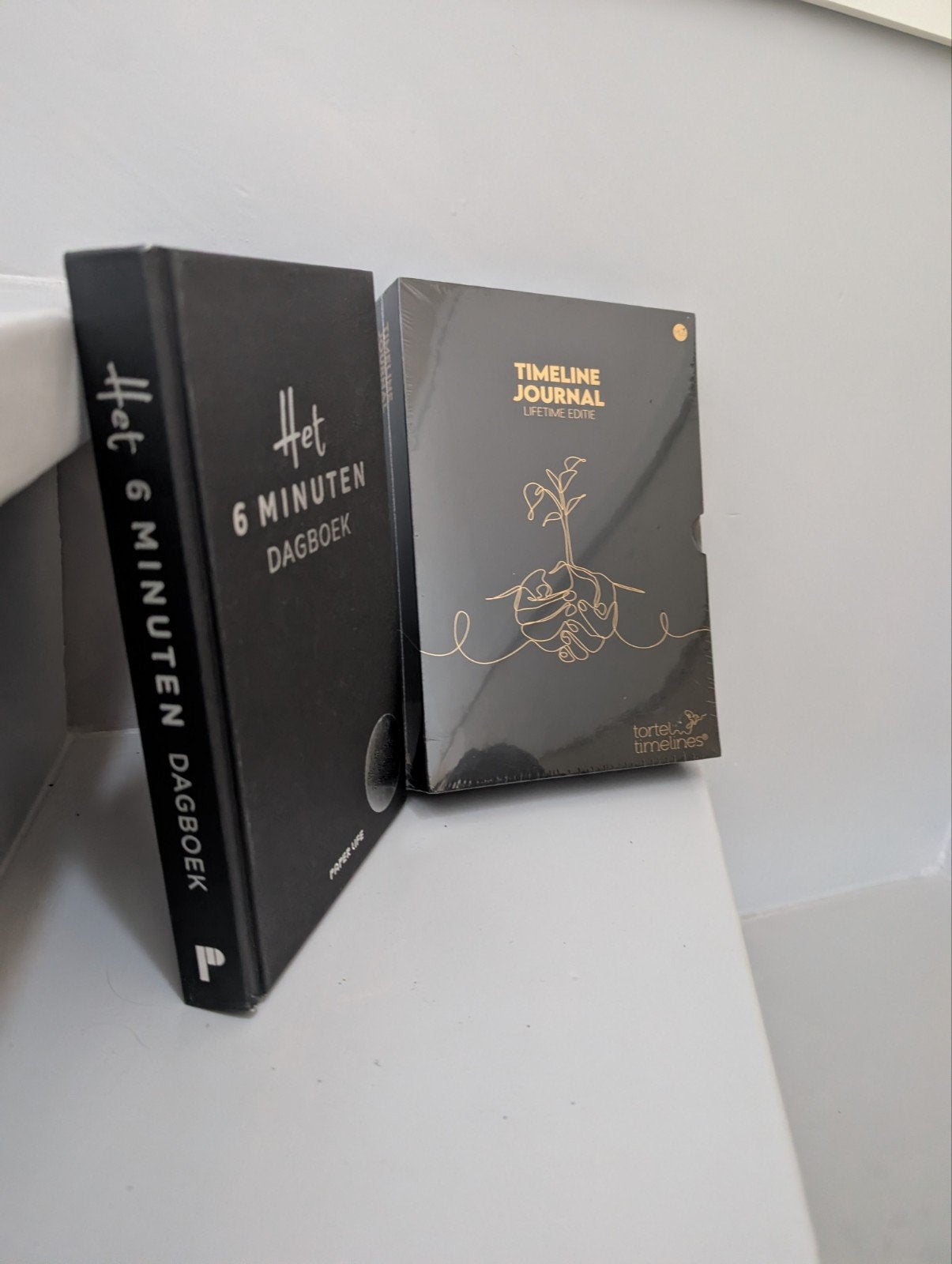 Tortel Timelines - Timeline Journal, Boeken, Ophalen of Verzenden, Nieuw, Tortel Timelines