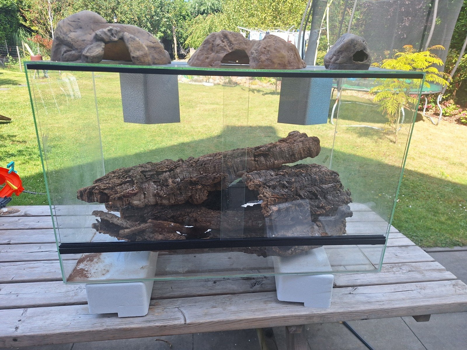 terrarium 80x40x50 cm met toebehoren, Dieren en Toebehoren, Ophalen