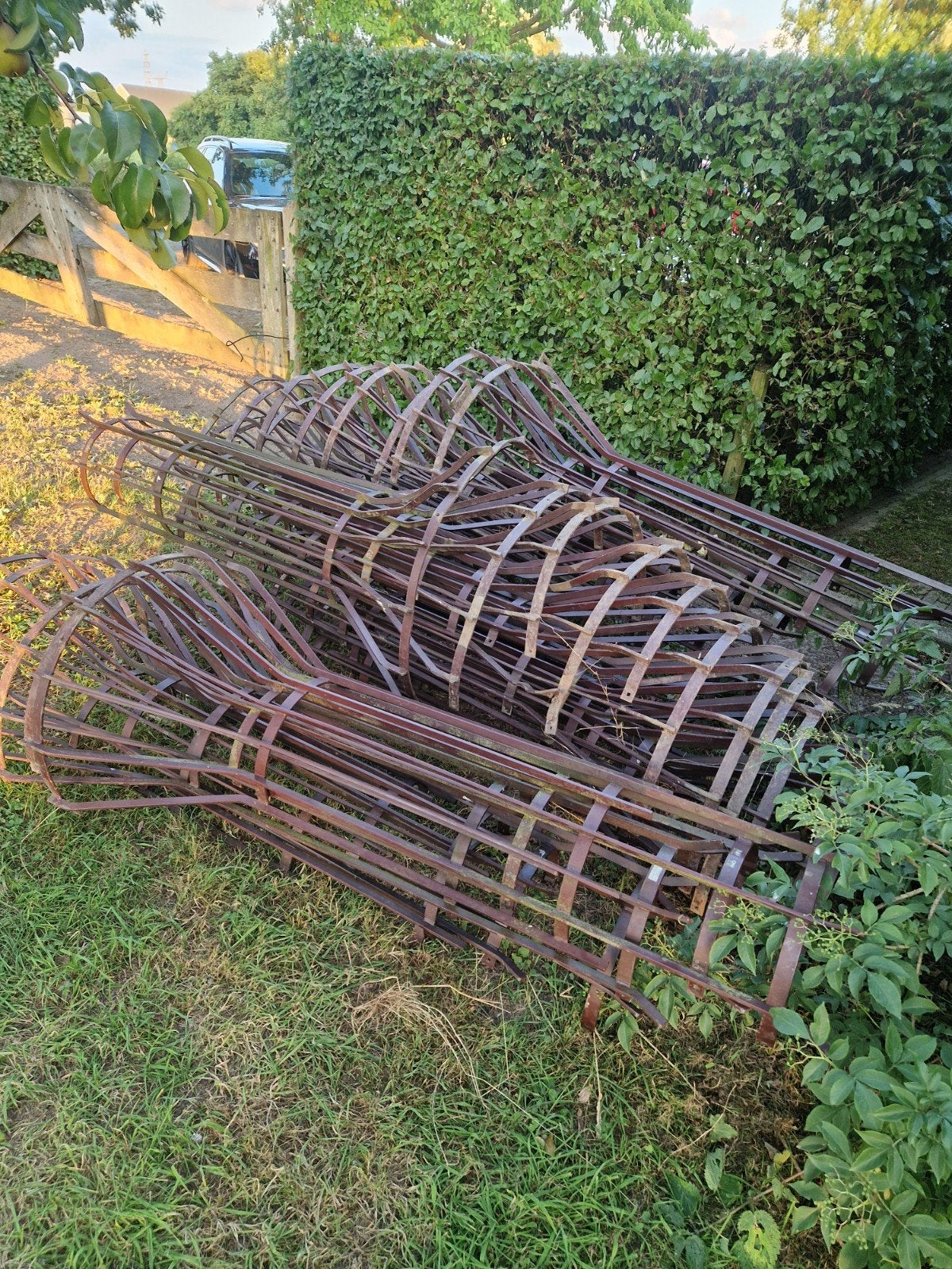 Boomkorf / Boombescherming Samson, Ophalen, Overige soorten, Volle zon