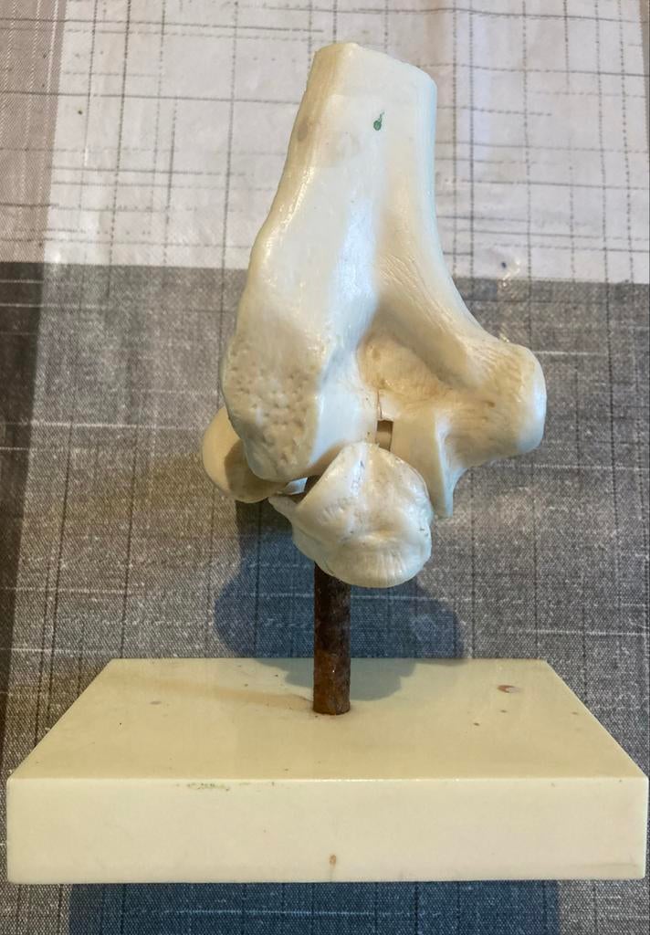 Elleboog gewricht te koop van dokters buro., Antiek en Kunst, Ophalen of Verzenden