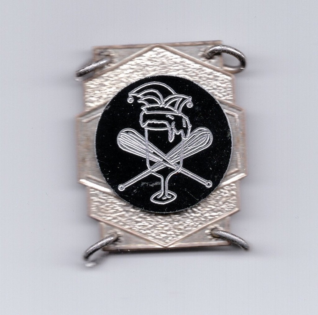 Medaille Carnavals Vereninging De Klutsers Apeldoorn, Ophalen of Verzenden, Overige materialen, Nederland
