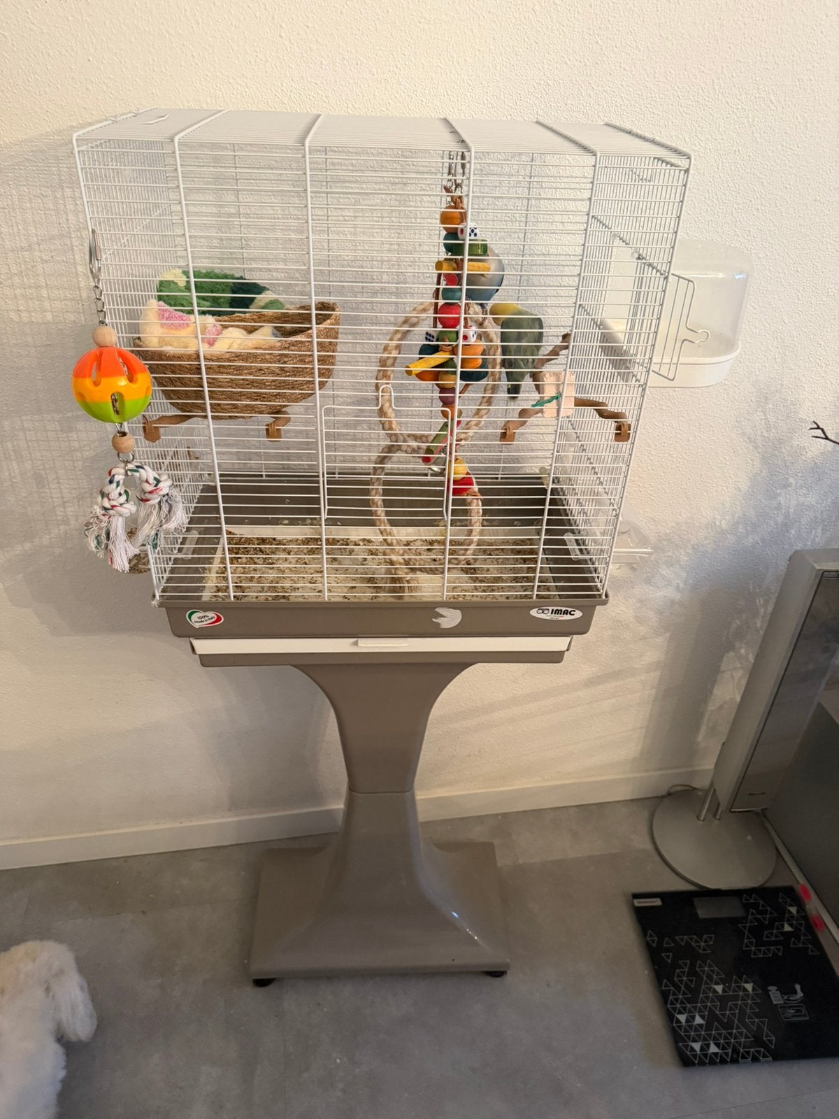 Twee mooie Agapornis plus kooi te koop, Dieren en Toebehoren, Ophalen, Zo goed als nieuw, Metaal, Vogelkooi