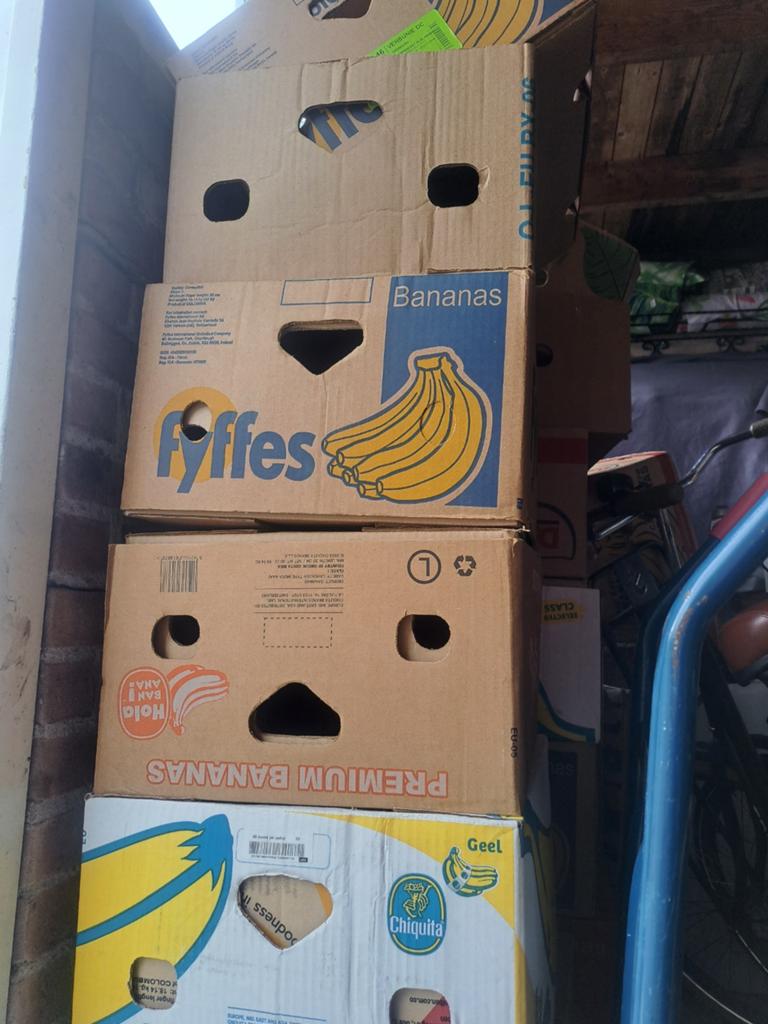 Bananendozen (stevig) circa 15 stuks gratis ophalen, Ophalen of Verzenden, Doos, Minder dan 35 cm