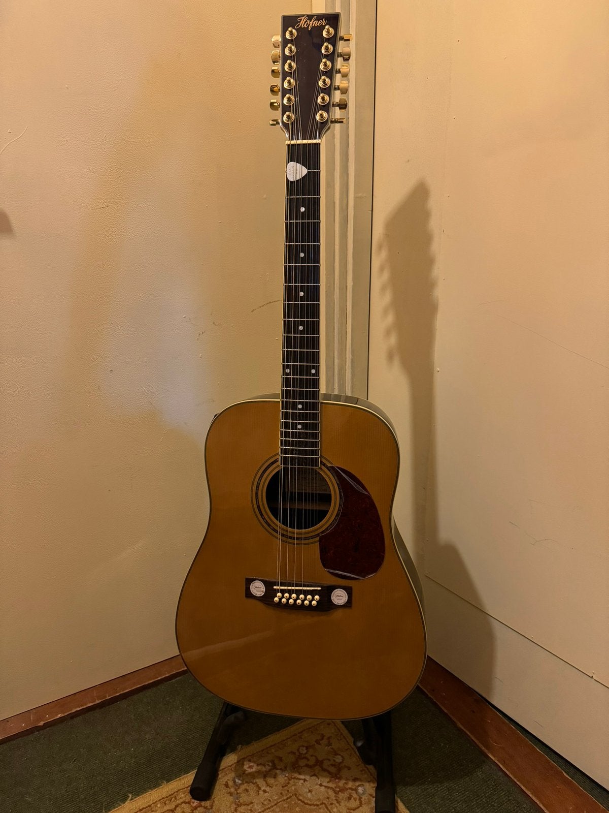12 snaren E-gitar HOFNER met kofer, Ophalen, Zo goed als nieuw, Overige typen