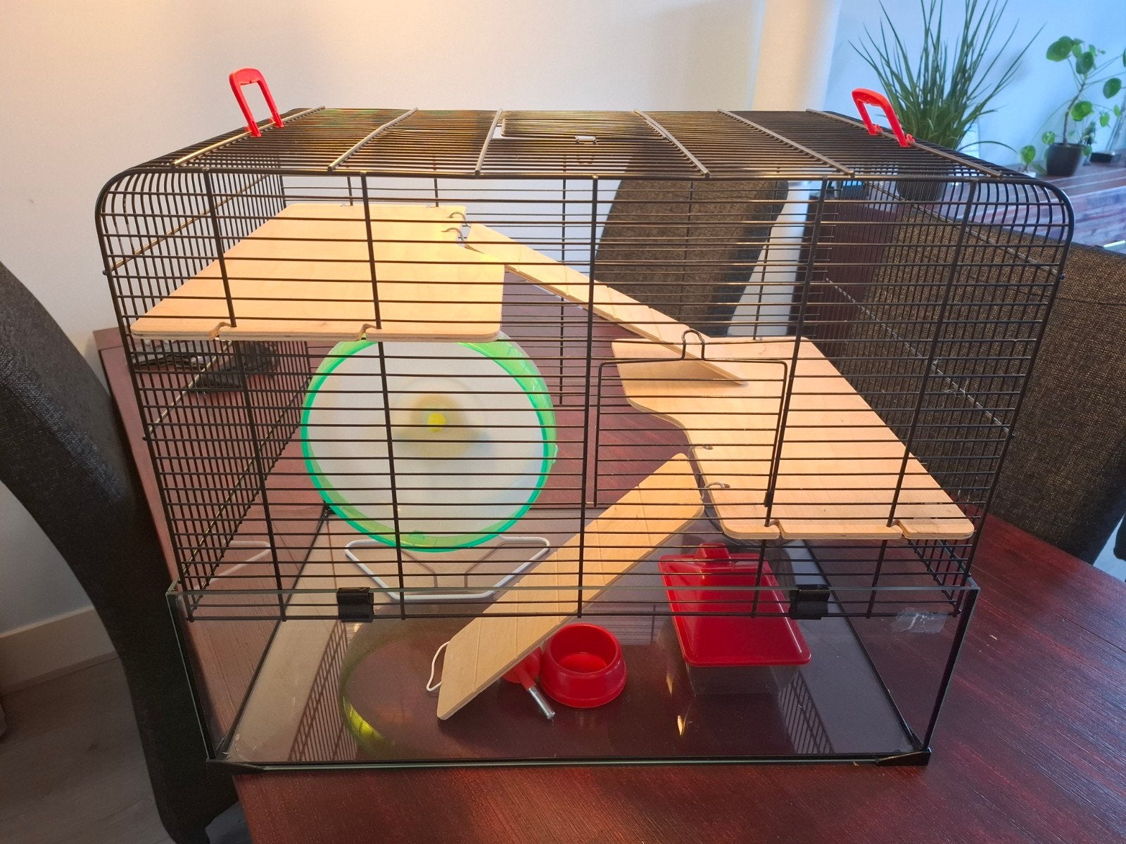Hamster-/muizenkooi, Kooi, Gebruikt, Minder dan 75 cm, Muis