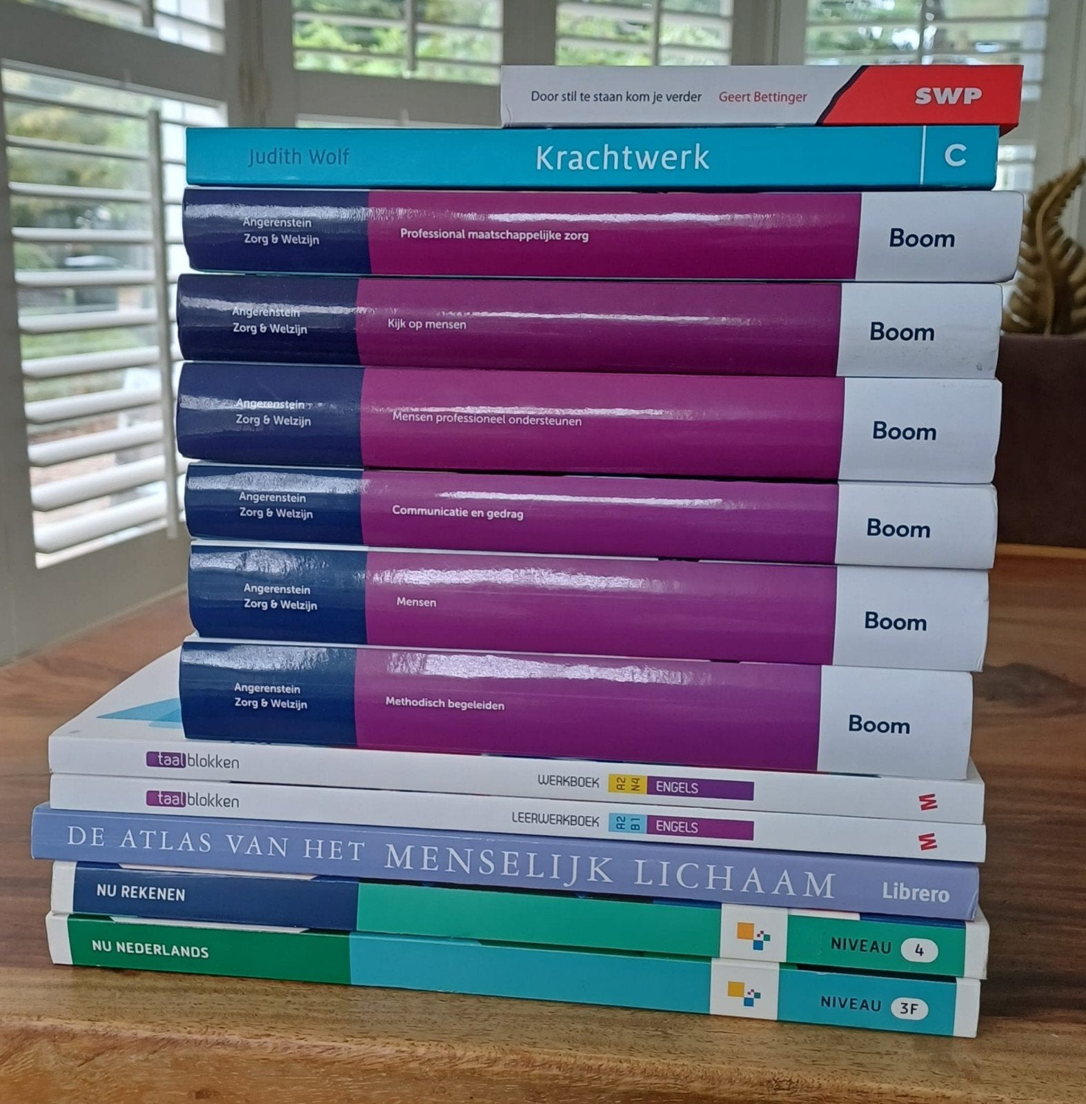 schoolboeken MBO opleiding Maatschappelijke zorg., Boeken, Schoolboeken, Ophalen of Verzenden, Zo goed als nieuw, Overige niveaus