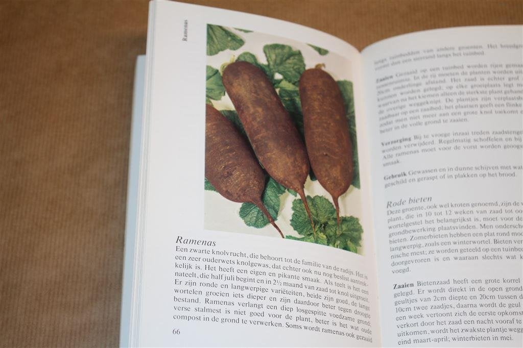 Zelf groenten en fruit kweken. Claire Fleuren., Ophalen of Verzenden, Gelezen, Moestuin