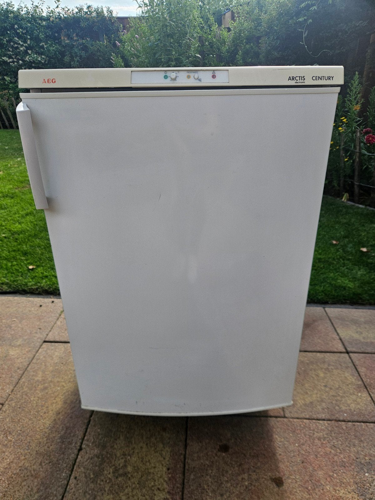 AEG Arctis Century Vriezer, Witgoed en Apparatuur, Vriezers en Diepvrieskisten, Gebruikt, Ophalen, Vrieskast, 85 tot 120 cm