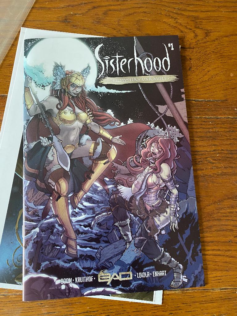sisterhood the mystery unravels, Eén stripboek, Ophalen of Verzenden, Zo goed als nieuw, Victor Kruithof