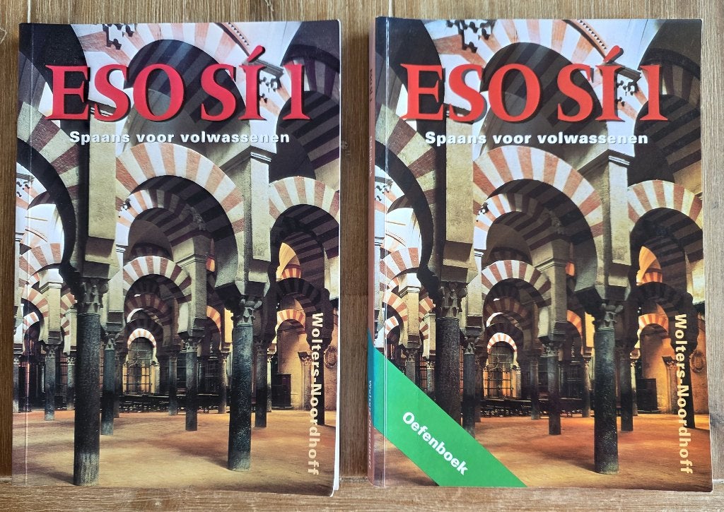 Eso si - Spaans voor volwassenen - deel 1 - Tekst & Werkboek, Boeken, Ophalen of Verzenden, Zo goed als nieuw, Spaans