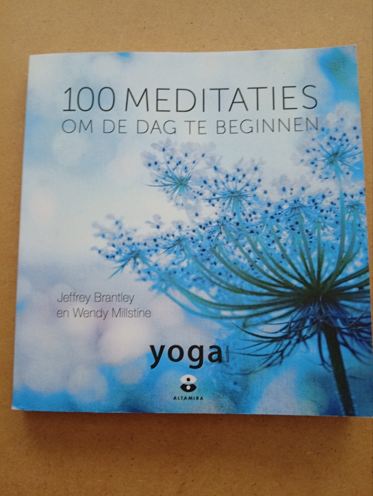 100 Meditaties om de Dag te Beginnen - Yoga, Boeken, Meditatie of Yoga, Ophalen of Verzenden, Zo goed als nieuw, Jeffrey Brantley en Wendy Millistine