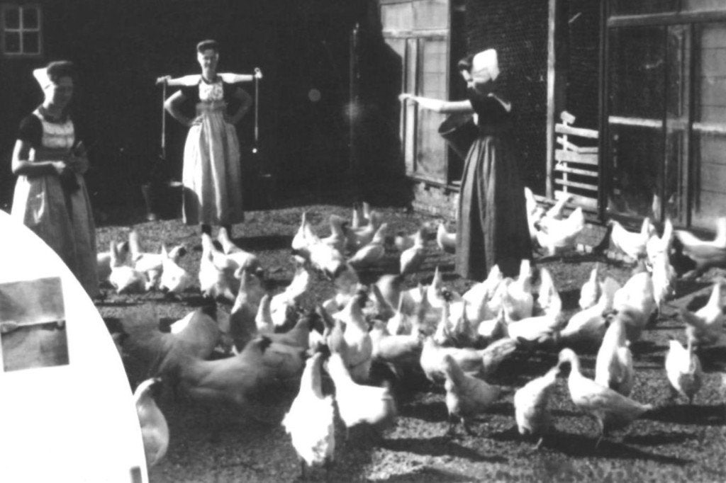 967748	Zeeland	Klederdracht	1958	 Onbeschreven, Ophalen of Verzenden, 1940 tot 1960, Gelopen, Zeeland