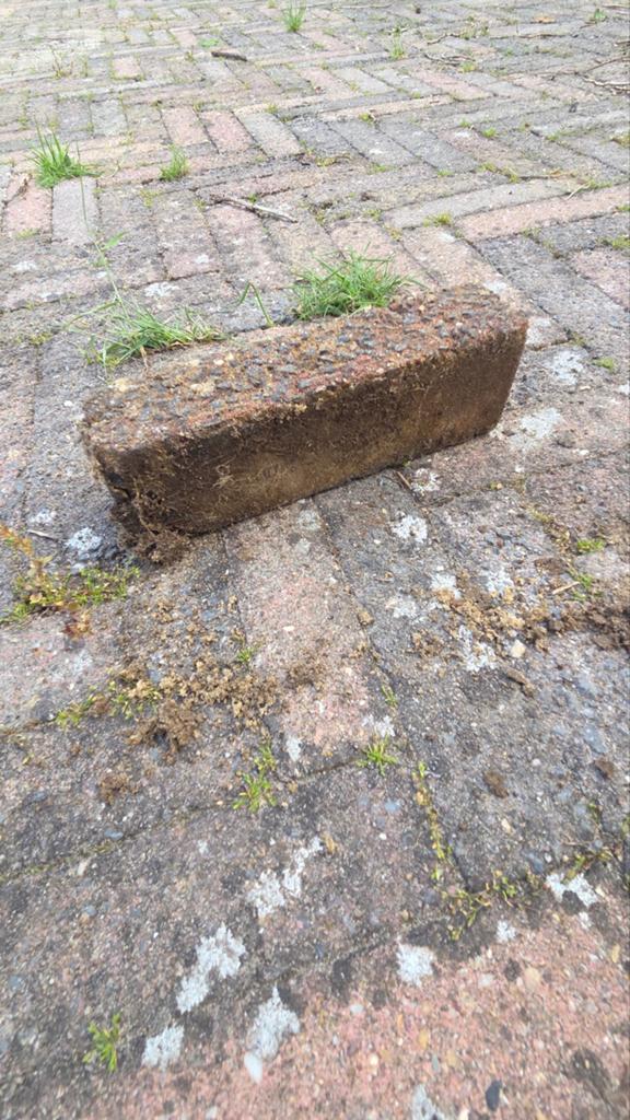 Gebruikte klinkers voor terras of oprit, Gebruikt, Klinkers, Ophalen of Verzenden, 10 m² of meer