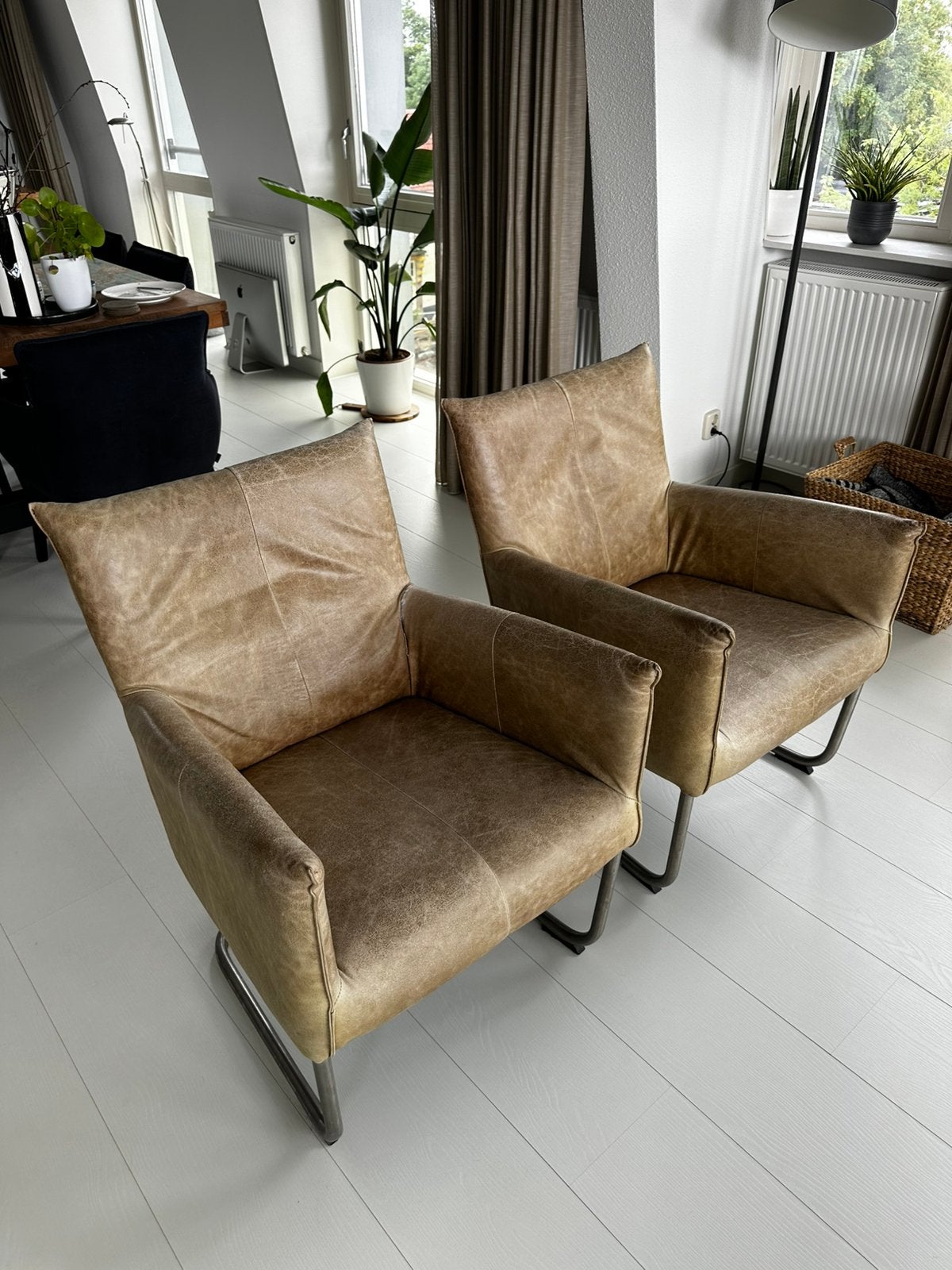 Jess stoelen leer, Ophalen, Gebruikt, Minder dan 75 cm, Leer