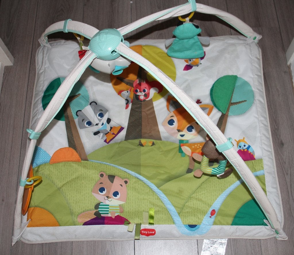 Tiny Love Deluxe Babygym - In het bos - babygym speelkleed, Ophalen of Verzenden, Zo goed als nieuw, Babygym, Met geluid