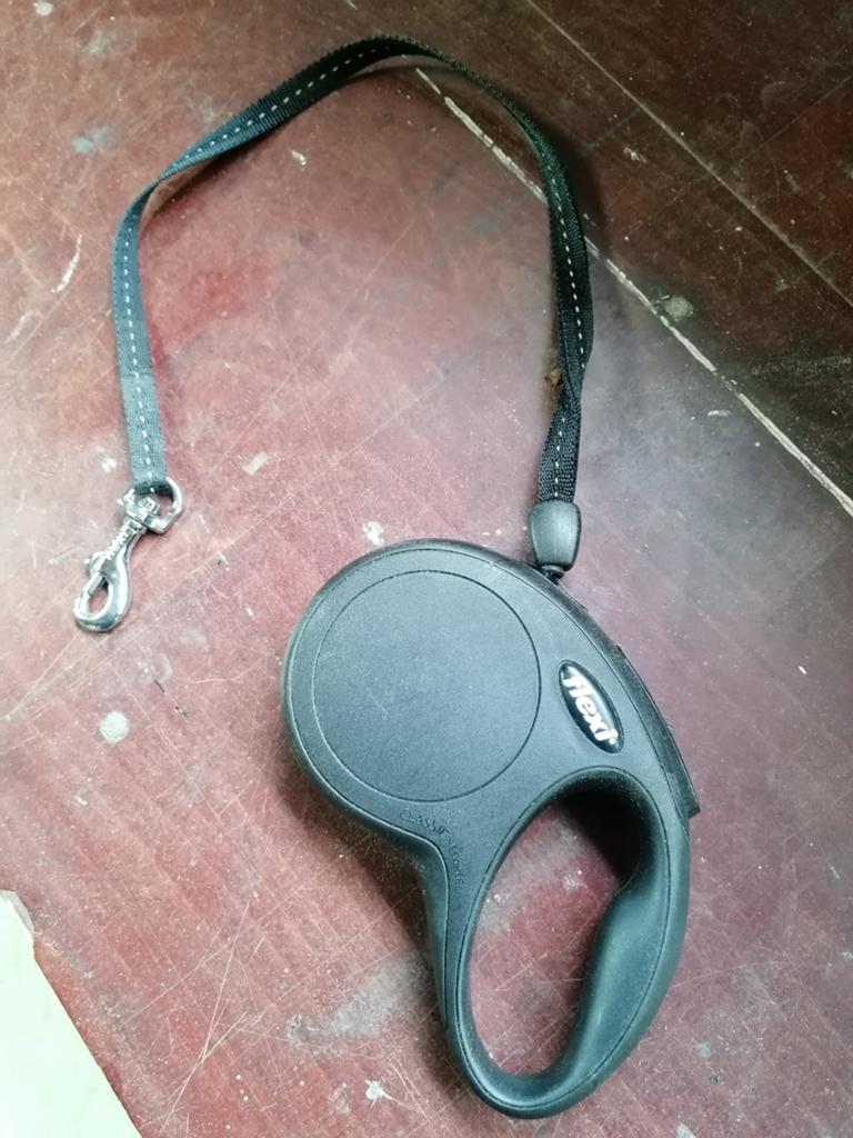 Hondenband Flexi Classic S, Ophalen of Verzenden