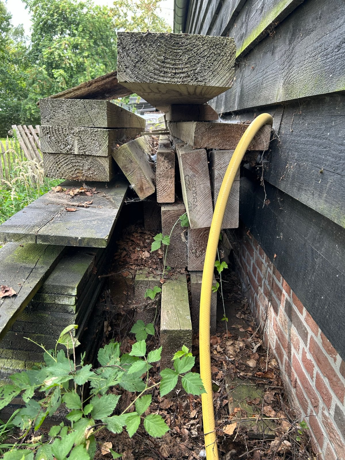 Douglas balken 8 stuks, lengte 4,8m, Ophalen, Gebruikt, 300 cm of meer, Balk